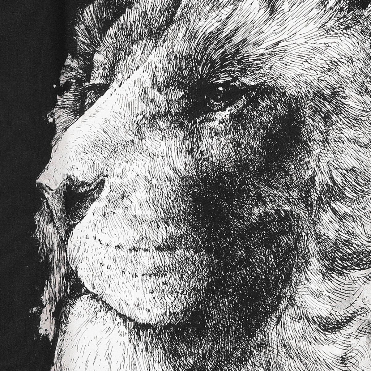 https://img2.ans-media.com/ans_med/cms/media/1200x1200/666964940350e2.05025967.jpg