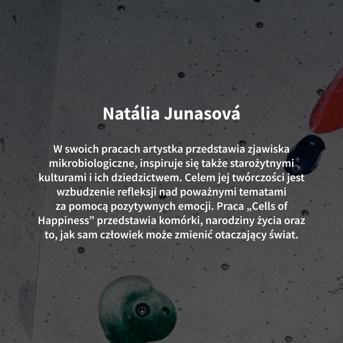 https://img2.ans-media.com/ans_med/cms/media/1200x1200/67b59ae77b4769.12462720.jpg