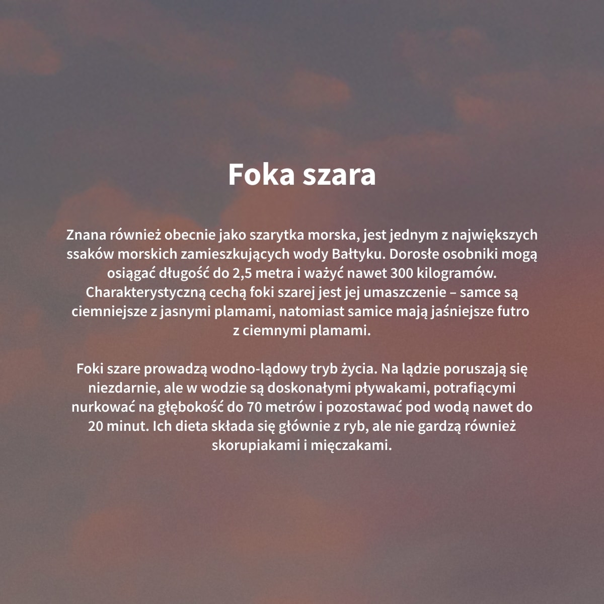 https://img2.ans-media.com/ans_med/cms/media/1200x1200/682d96899c8181.26955404.jpg