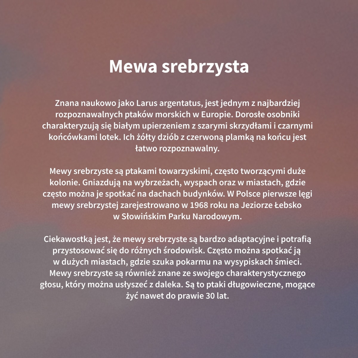 https://img2.ans-media.com/ans_med/cms/media/1200x1200/682d969f28da92.35878373.jpg