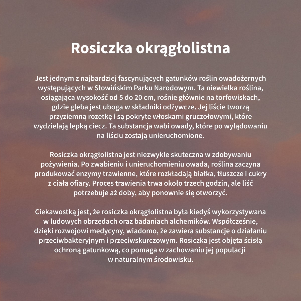 https://img2.ans-media.com/ans_med/cms/media/1200x1200/682d96a5993ad9.34765553.jpg