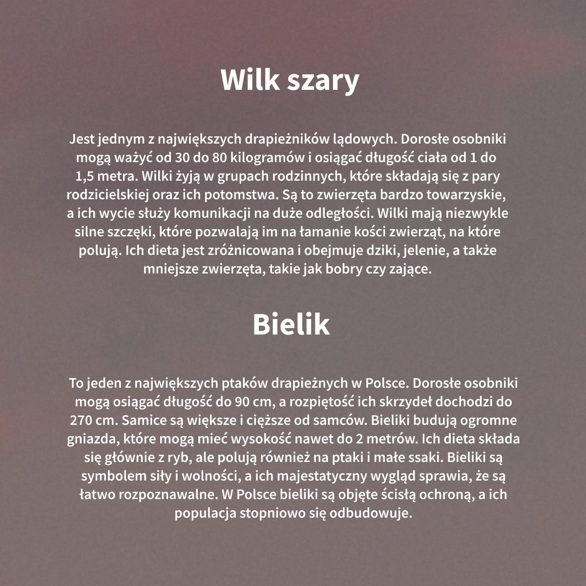 https://img2.ans-media.com/ans_med/cms/media/1200x1200/682d96b208c7b7.84447021.jpg