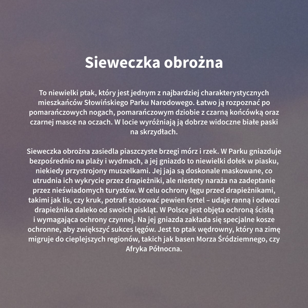 https://img2.ans-media.com/ans_med/cms/media/1200x1200/682d96b7017405.12512977.jpg