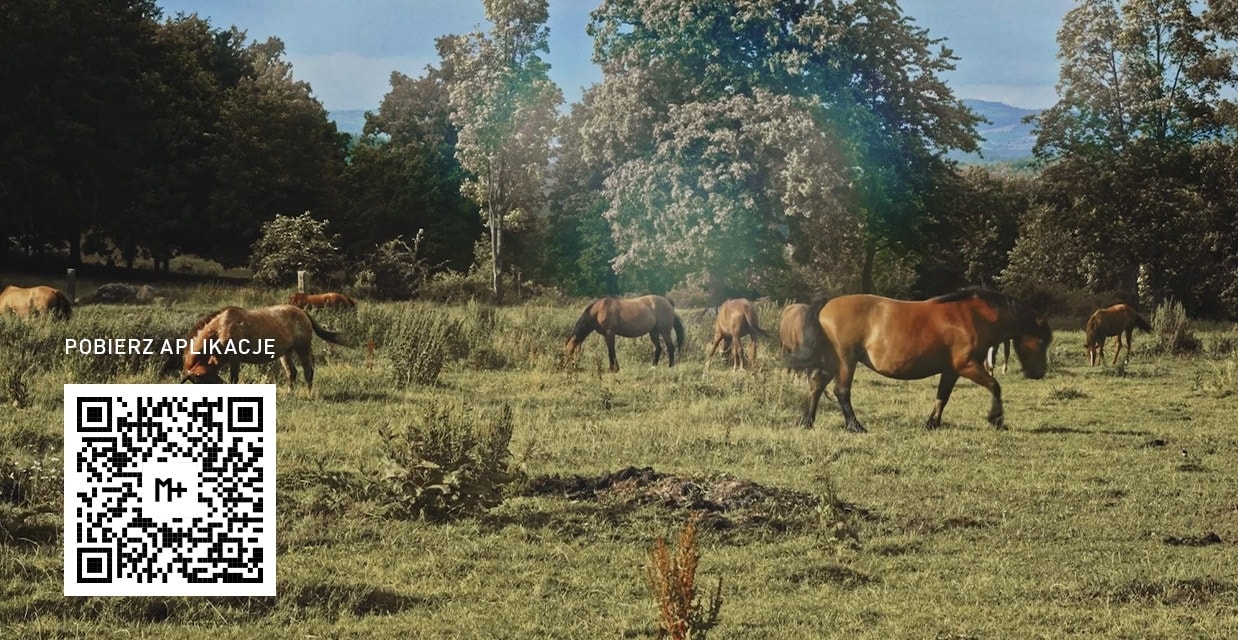 EXTRA –10% TYLKO W APLIKACJI
