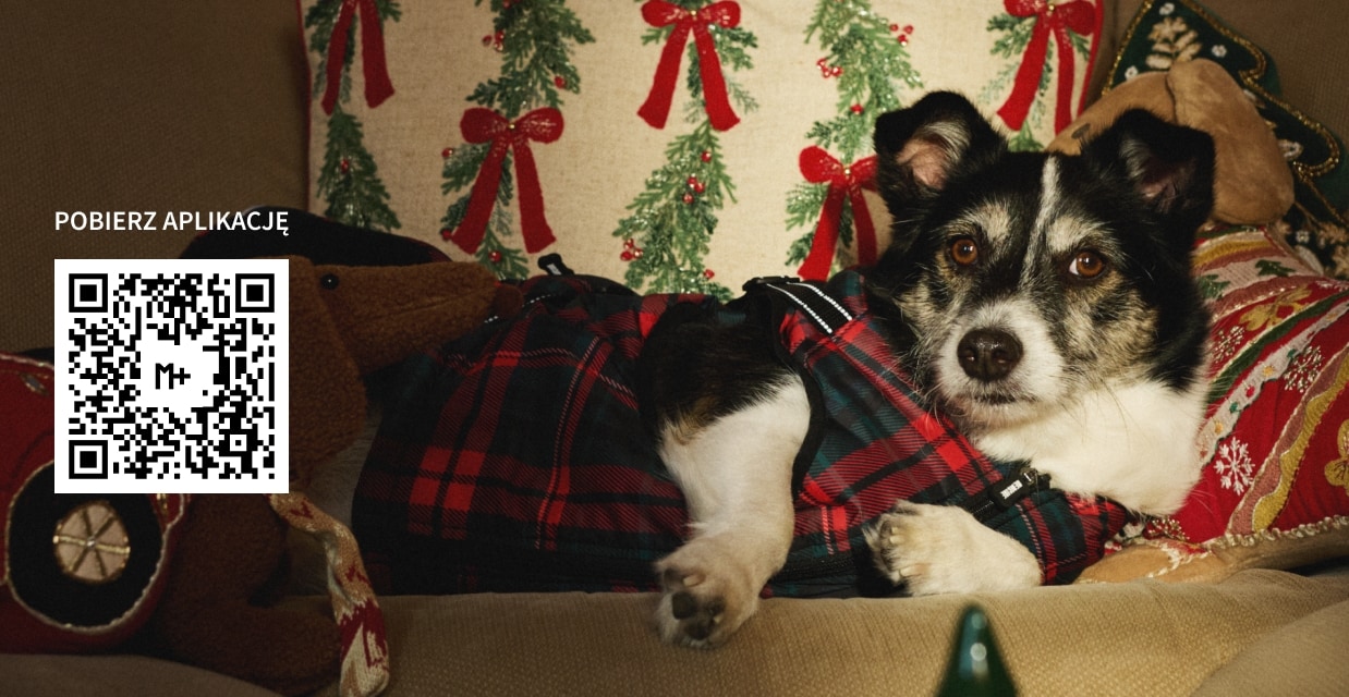 WSPÓLNIE POMÓŻMY ZWIERZAKOM