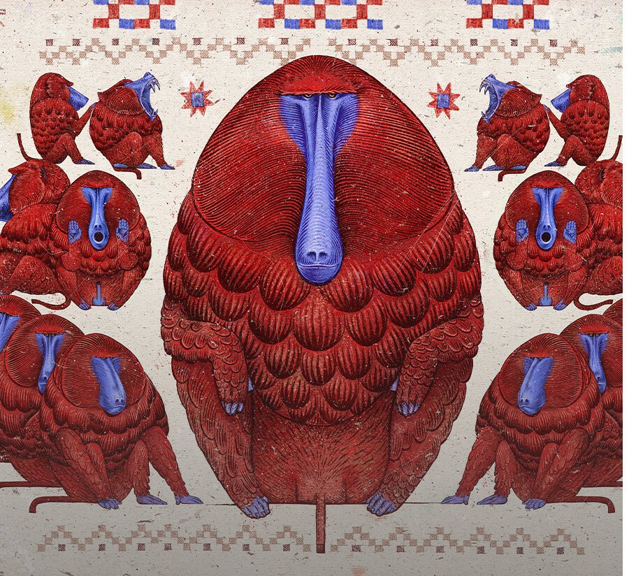 Atlas Zwierząt