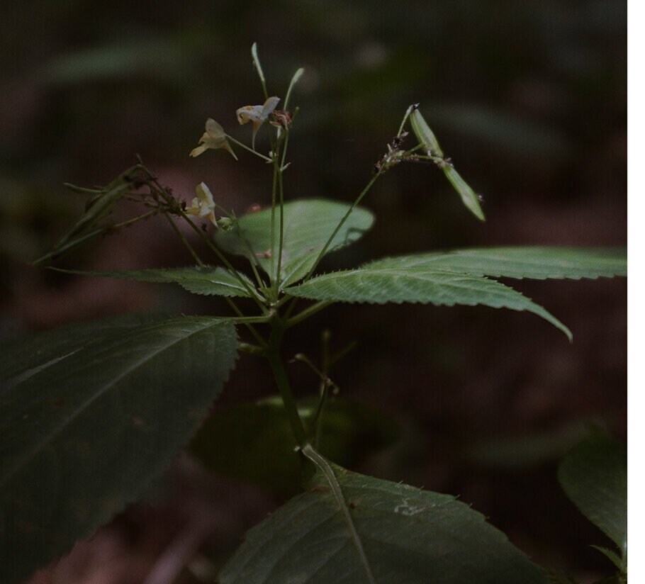 W trosce o naszą planetę