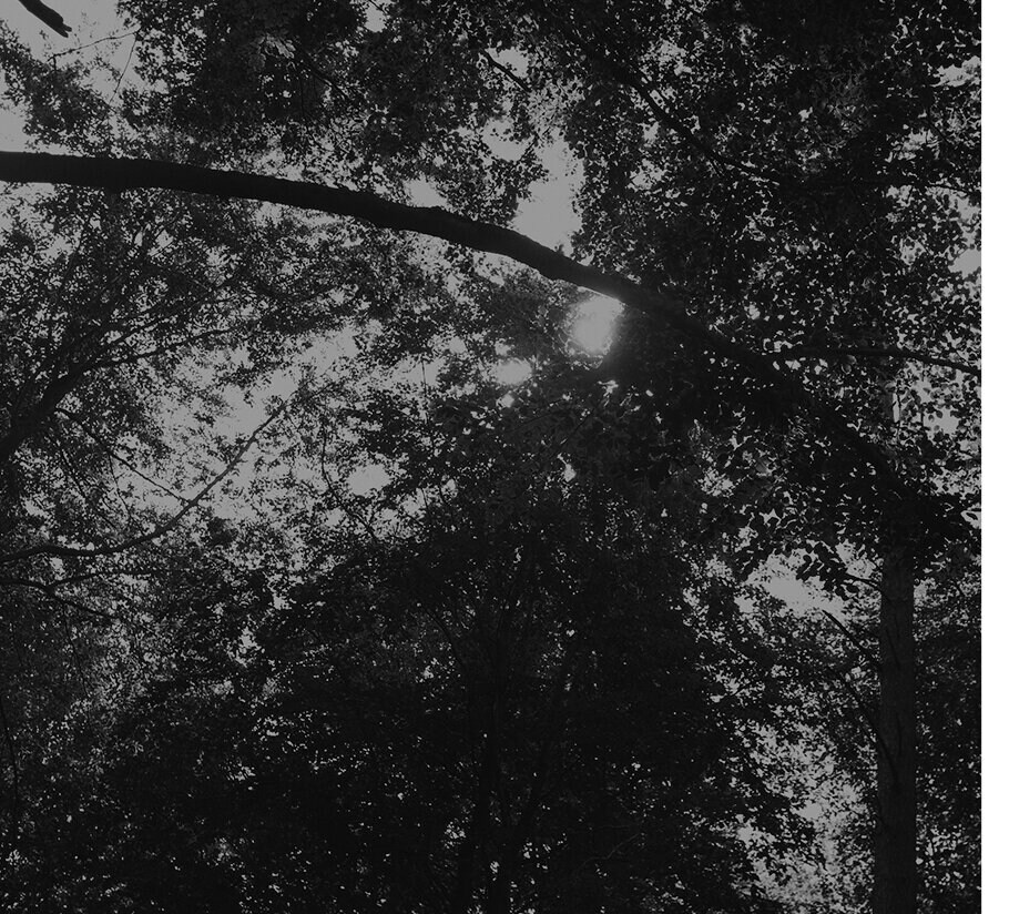 Świadome relacje z dostawcami