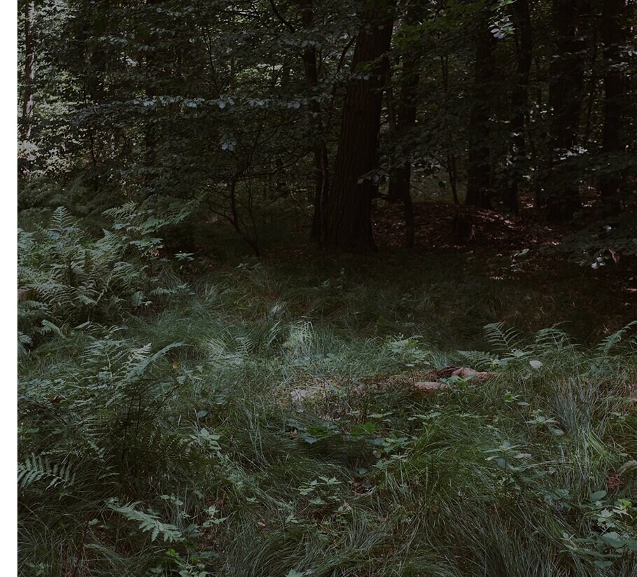 Działanie na rzecz lokalnych społeczności