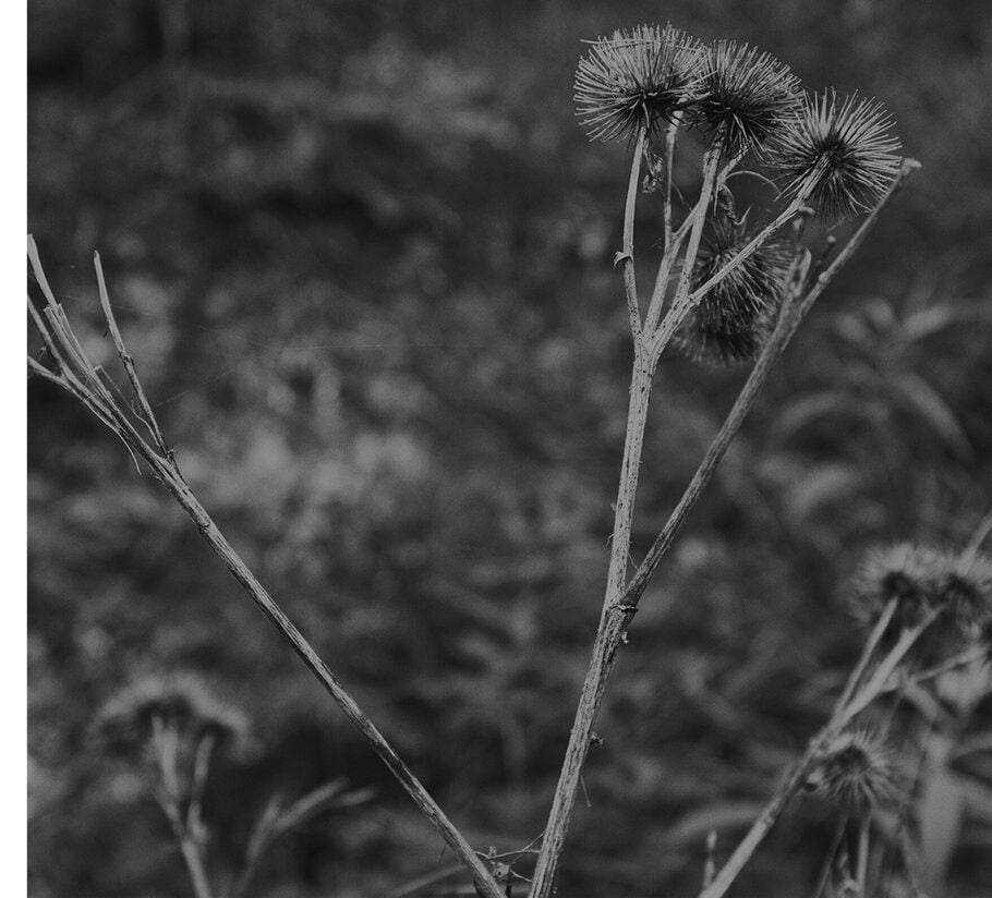 Promowanie dobrych praktyk