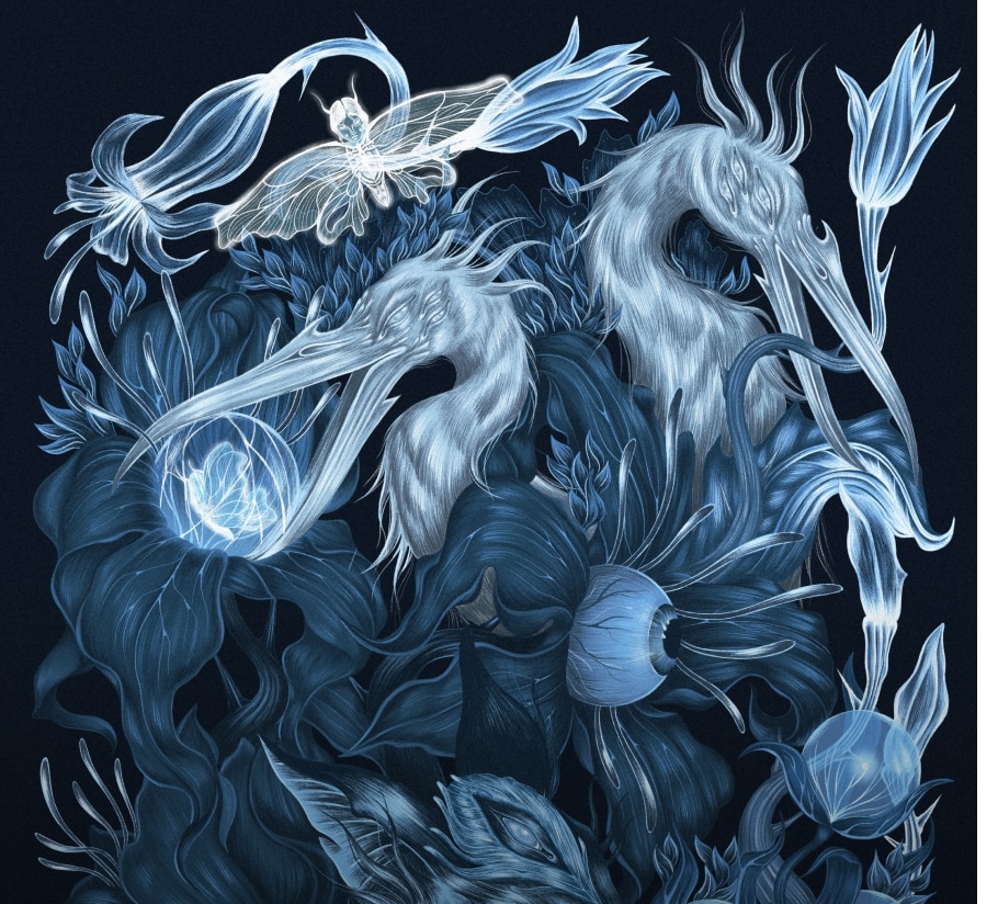 Tajemniczy Świat Medicine