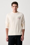 MC2 Saint Barth sweter męski z wełną szary HER0024