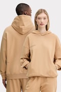 Pangaia cotton sweatshirt brown color hooded with a print