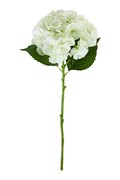 House Doctor művirág HDHydrangea 22 x 50 cm 900001455