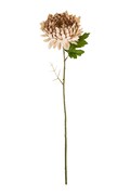 House Doctor művirág HDChrysanthemum 14 x 60 cm 900001481