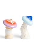 Soľnička a korenička &k amsterdam Magic Mushroom viac farieb