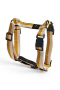 HAY dog harness Medium yellow color