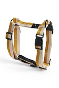 HAY dog harness Medium yellow color