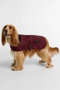 Barbour płaszcz dla psa DCO0004