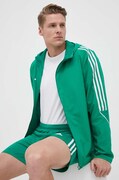 zielony