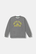 United Colors of Benetton bluza dziecięca kolor szary z nadrukiem 3EB5C10R5