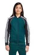 Παιδική μπλούζα adidas Originals χρώμα: πράσινο, με κουκούλα, JV8565