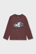 bordo