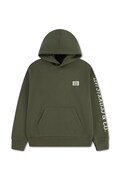 Levi's bluza dziecięca z bawełną SLEEVE HIT HOODIE zielona 8EL152