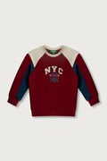 United Colors of Benetton bluza dziecięca bawełniana bordowa 3J70G10NM