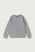 The North Face dukserica za djecu s pamukom TEEN EVOLUTION SIMPLE DOME CREW siva NF0A8ESMCQO1
