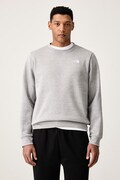 The North Face μπλούζα ανδρική με βαμβάκι Evolution γκρί NF0A8D60CQO1