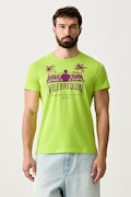 Vilebrequin t-shirt da uomo in cotone THOM verde THOEP300