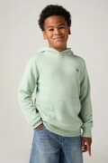 Levi's bluza dziecięca LVB MINI BATWING PULL OVER HOO kolor zielony z kapturem gładka 9EK422