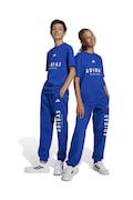 adidas spodnie dresowe dziecięce kolor niebieski z nadrukiem JC7613