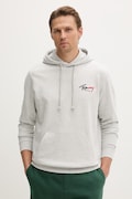 Tommy Jeans pulover s kapuco moški bombažen siv DM0DM22680