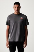 The North Face T-shirt męski bawełniany 1966 FLORA szary NF0A8GB2RHI1