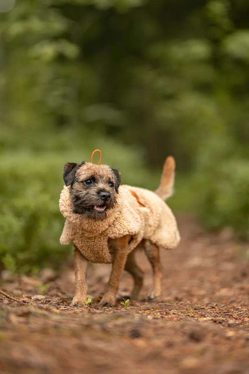 PAIKKA Пальто для собаки, полиэстер, бежевое, 40 см — фото 5