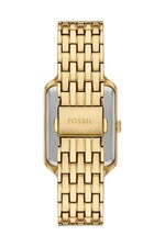RAQUEL Fossil