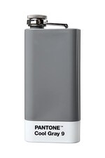 Фляжка Pantone 120 ml колір сірий