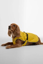 Плащ для собаки Barbour колір жовтий
