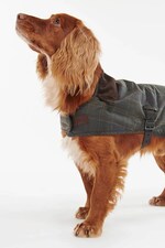 Плащ для собаки Barbour