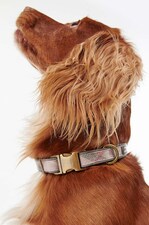 Нашийник для собаки Barbour
