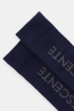 Лижні шкарпетки Descente Arch Spiral Sox колір синій