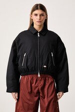 Куртка жіноча Dickies колір чорний