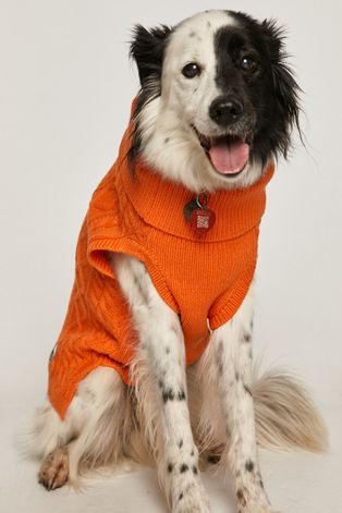 Sweter dla pupila pomarańczowy