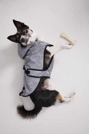 Medicine - Куртка для собаки Essential