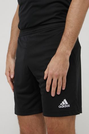 adidas Performance pantaloni scurți de antrenament Entrada 22 barbati, culoarea negru
