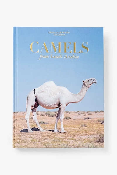 Assouline könyv Camels from Saudi by Ghada AlMuhanna Abalkhail, English