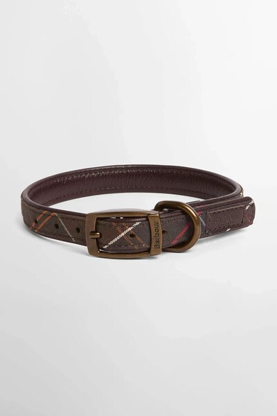 Ошийник для собаки Barbour