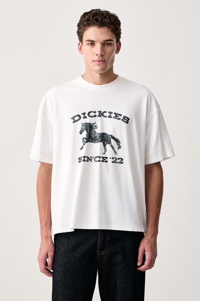 Футболка чоловіча бавовняна Dickies колір білий